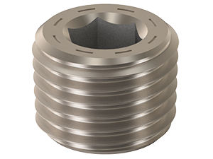Steel Pipe Plug: 2"